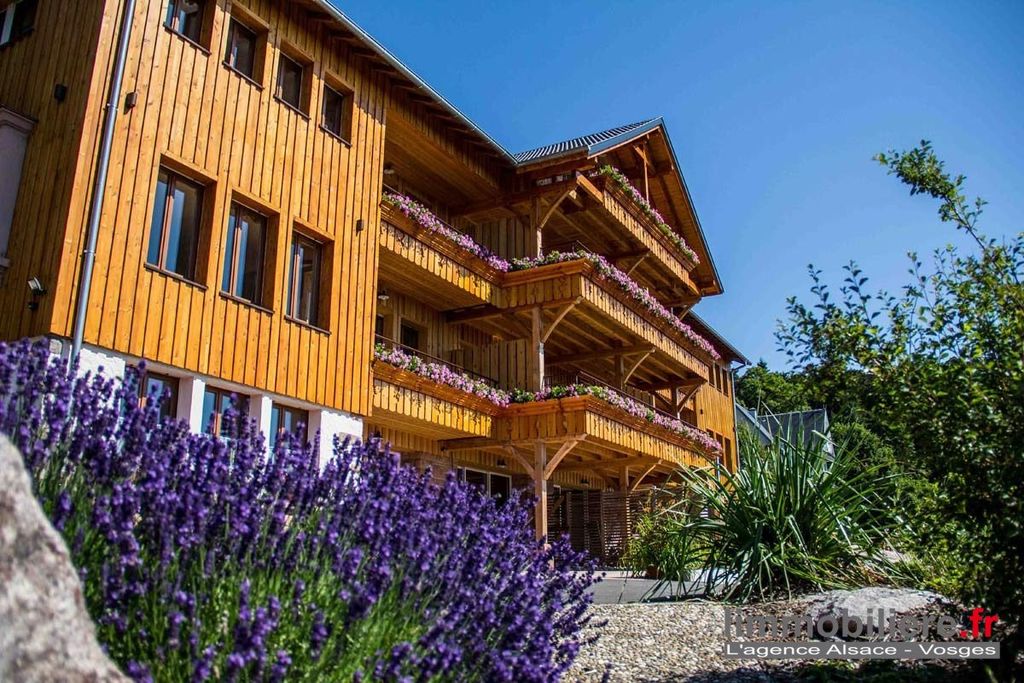 Замки и поместья с 25 комнатами в Эпиналь, Франция № 60355