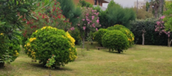 4-Zimmer Wohnung in Montesilvano, Italy, Nr. 252049 2