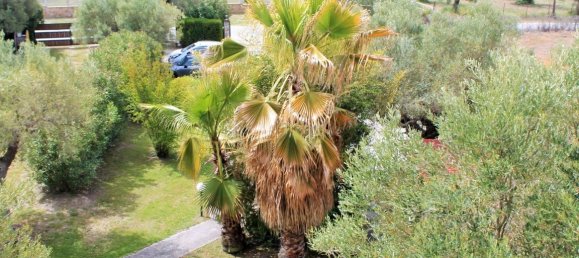 4 غرف نوم عقار تجاري في Chalkidiki, Greece رقم 6348 26