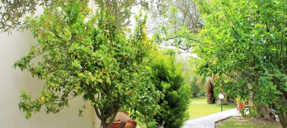 4 غرف نوم عقار تجاري في Chalkidiki, Greece رقم 6348 28