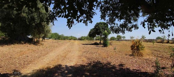 5 rooms House in Rosolini, Italy No. 165256 45