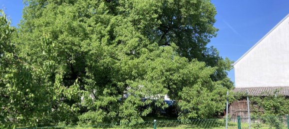 Terreno en Oberwart, Austria 1313 m² No. 162749 4