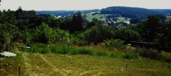 Land in Forchheim, Germany No. 296421 6