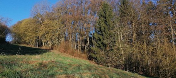 قطعة أرض في Leibnitz, Austria رقم 127408 2