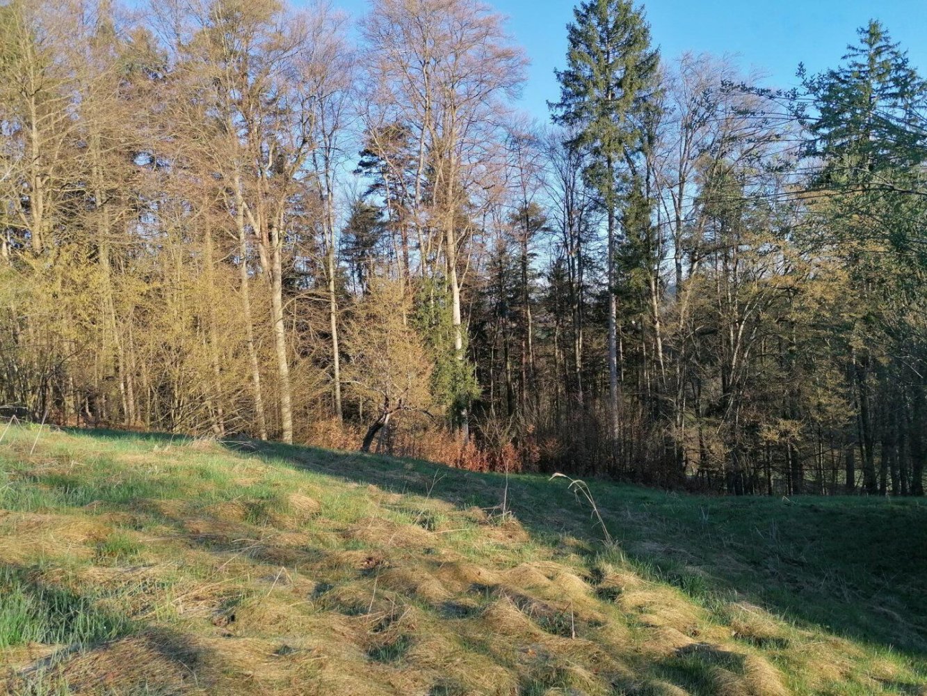  قطعة أرض في Leibnitz, Austria رقم 127408