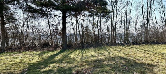 8-Zimmer Haus in Wels, Austria, Nr. 6858 25