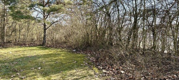 8-Zimmer Haus in Wels, Austria, Nr. 6858 6