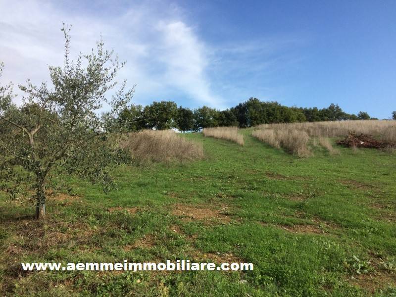 1200m² Land in Casole d'Elsa, Italy No. 12067