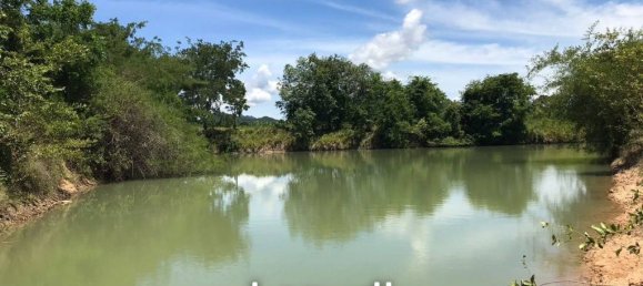 Gewerbliche Immobilie in Sam Roi Yot, Thailand, Nr. 17426 7