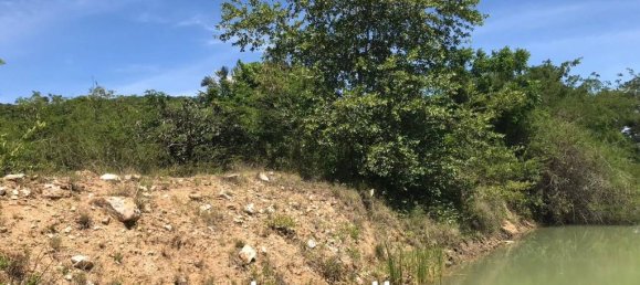 Gewerbliche Immobilie in Sam Roi Yot, Thailand, Nr. 17426 6