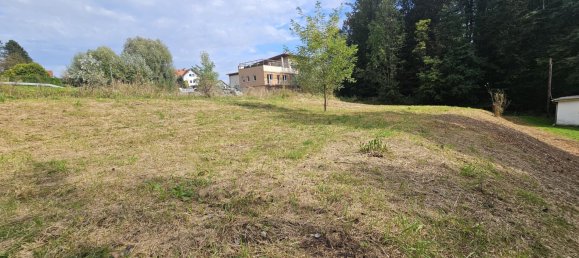 Land in Fernitz-Mellach, Austria No. 239844 6
