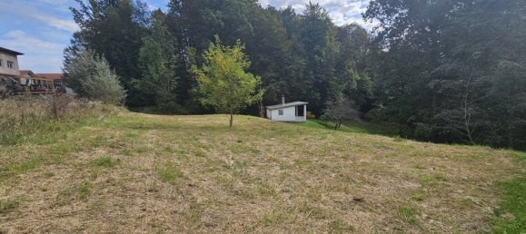 Land in Fernitz-Mellach, Austria No. 239844 4