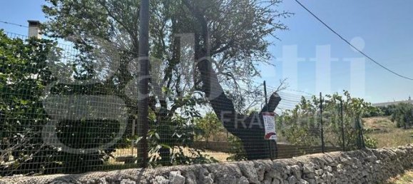 Villa de 2 dormitorios en Ostuni, Italy No. 353740 34