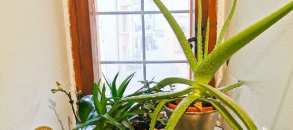 Hôtel à Rattenberg, Austria 91m² No. 174897 12