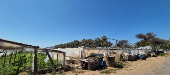 Земельный участок в Рим, Италия № 359435 10