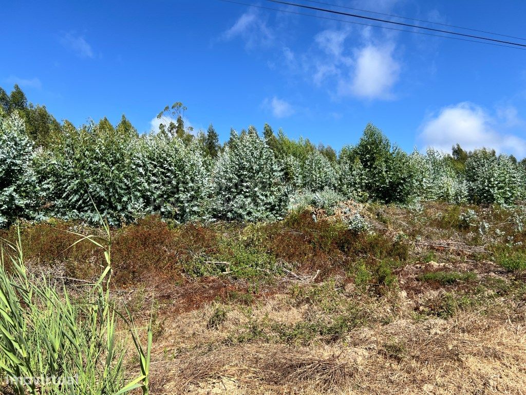Terreno en Torres Vedras, Portugal 1183 m² No. 299149