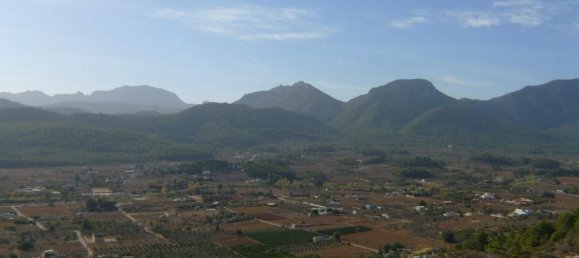  Land in Jalon, Spain No. 286096 4