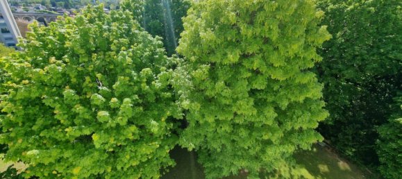 Apartamento T3 em Joinville-le-Pont, France N.º 327000 6