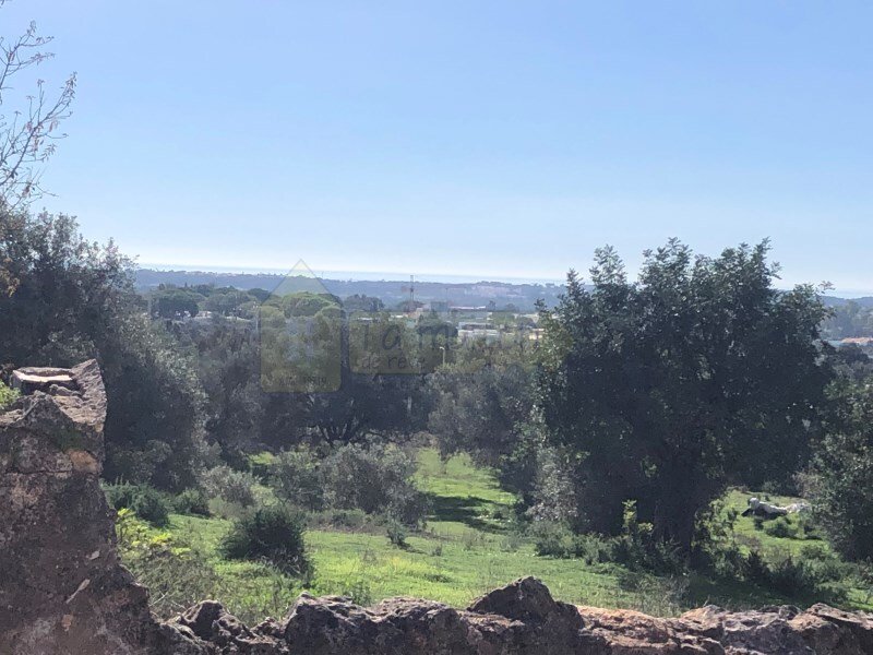 450m² Land in Faro, Portugal No. 130913