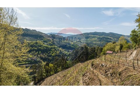  Land in Celorico de Basto, Portugal No. 195634