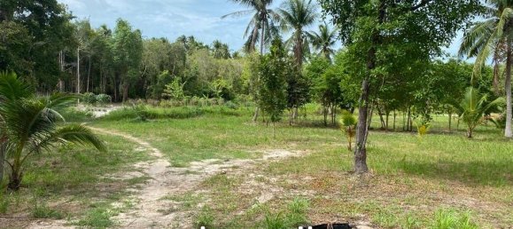  Commercial property in Wiang Sa, Thailand No. 14648 2