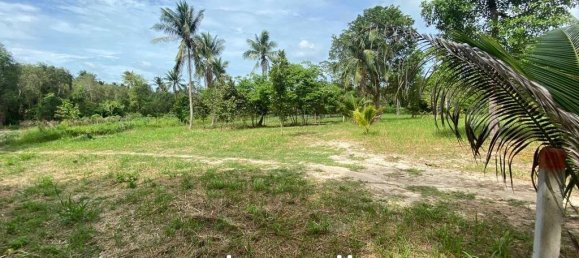  Commercial property in Wiang Sa, Thailand No. 14648 6