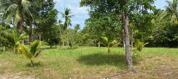  Commercial property in Wiang Sa, Thailand No. 14648 7