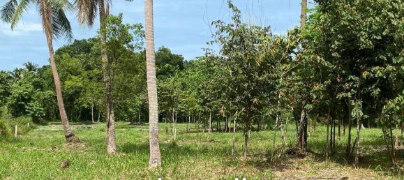  Commercial property in Wiang Sa, Thailand No. 14648 8