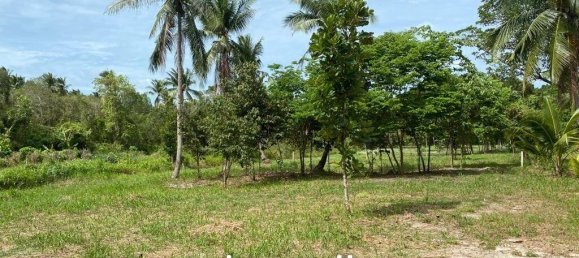  Commercial property in Wiang Sa, Thailand No. 14648 4