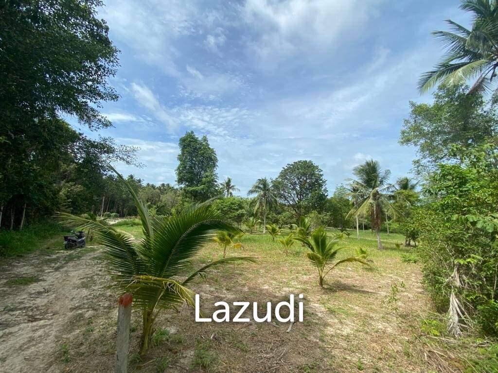  Commercial property in Wiang Sa, Thailand No. 14648