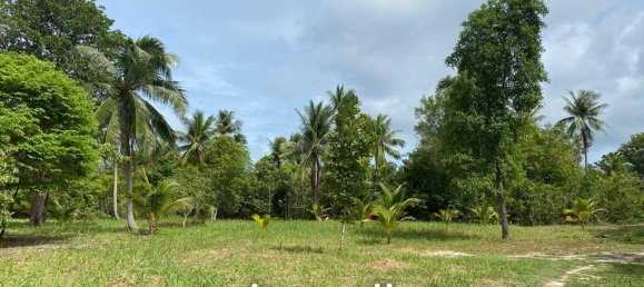  Commercial property in Wiang Sa, Thailand No. 14648 9