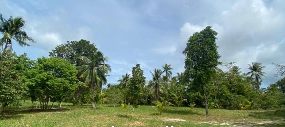  Commercial property in Wiang Sa, Thailand No. 14648 10