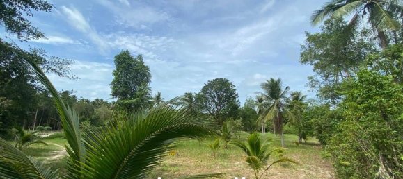  Commercial property in Wiang Sa, Thailand No. 14648 5