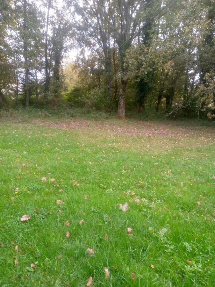  قطعة أرض في Creysse, France 1580متر مربع رقم 111936