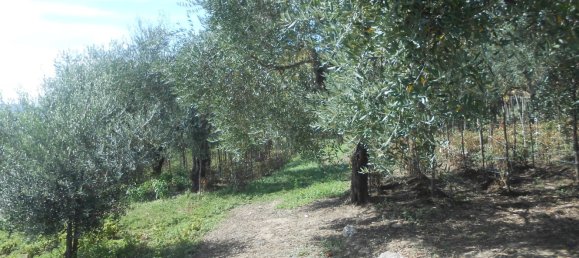 4 bedrooms House in Montemiletto, Italy No. 344293 11