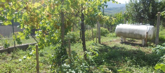 4 bedrooms House in Montemiletto, Italy No. 344293 30