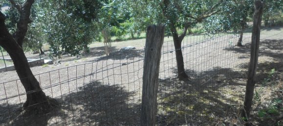 4 bedrooms House in Montemiletto, Italy No. 344293 13