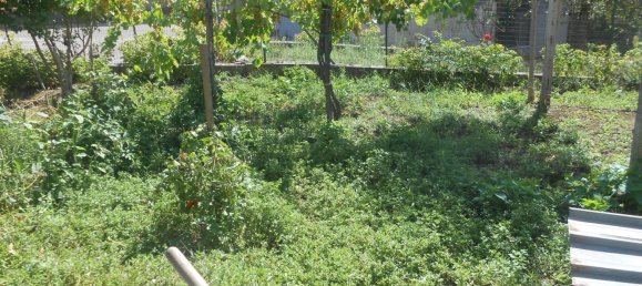 4 bedrooms House in Montemiletto, Italy No. 344293 10