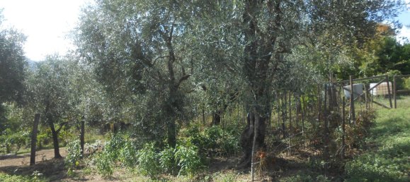 4 bedrooms House in Montemiletto, Italy No. 344293 12