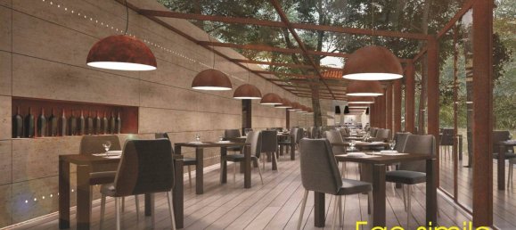 2-Zimmer Gewerbliche Immobilie in Campi Bisenzio, Italy, Nr. 12054 13