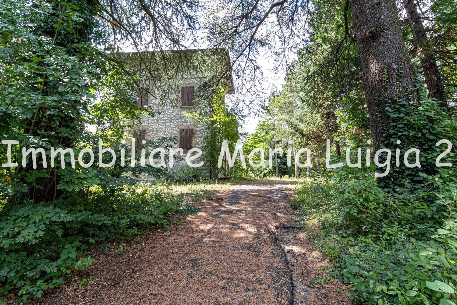 7 rooms House in Terenzo, Italy No. 294300