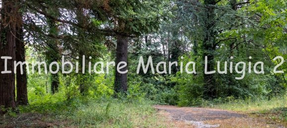 7 rooms House in Terenzo, Italy No. 294300 38