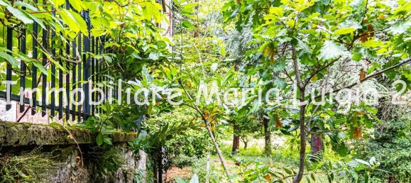 7 rooms House in Terenzo, Italy No. 294300 17