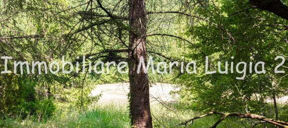 7 rooms House in Terenzo, Italy No. 294300 21