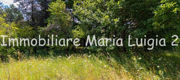 7 rooms House in Terenzo, Italy No. 294300 29