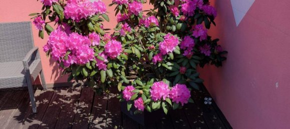 2-Zimmer Haus in Sitzendorf an der Schmida, Austria, Nr. 147257 9