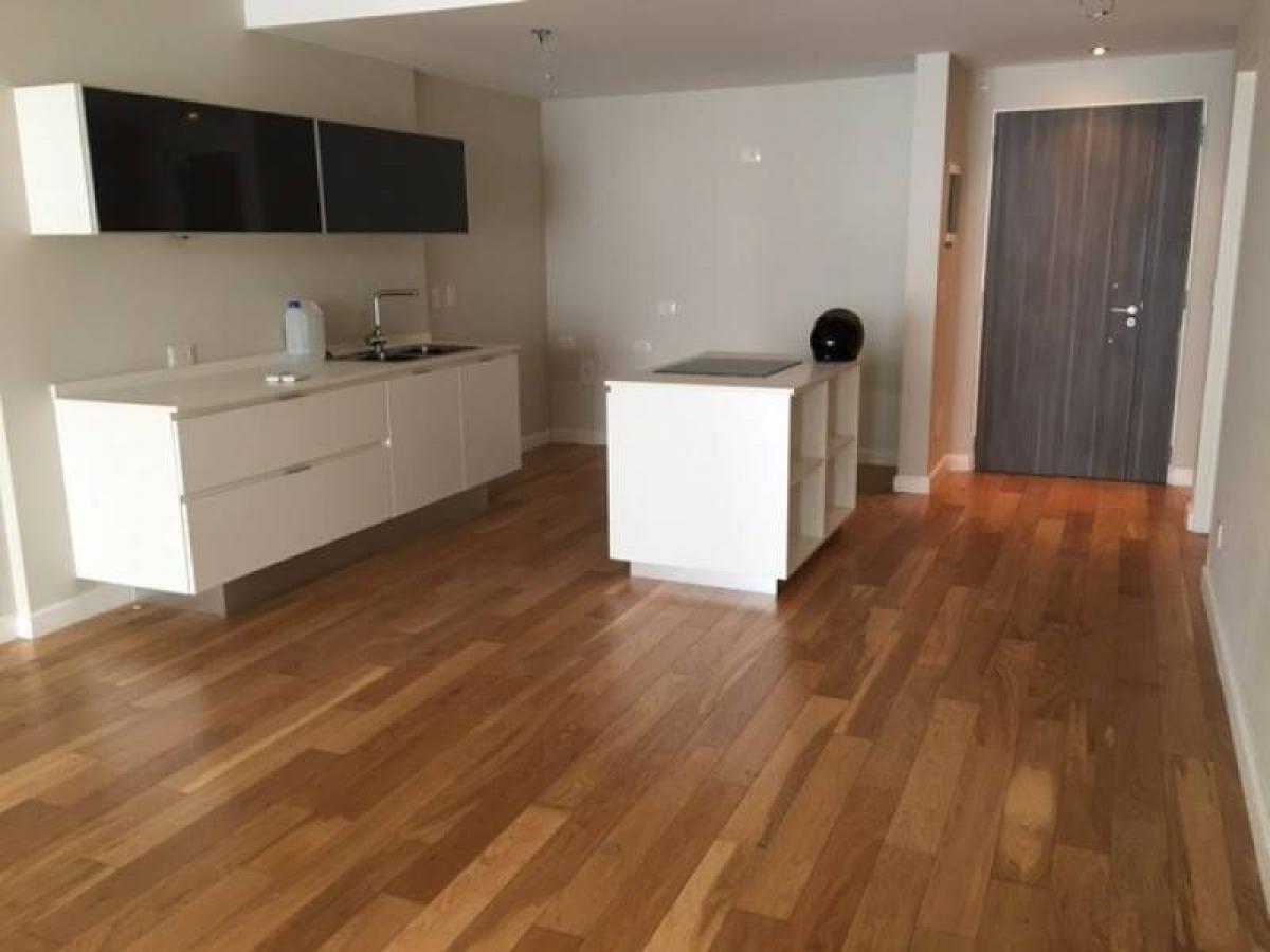 Студия в Палермо, Аргентина № 100847