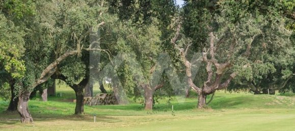 5 bedrooms House in Palmela, Portugal No. 71059 50