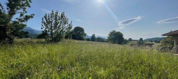 Grundstück in Feistritz im Rosental, Austria, Nr. 246641 4