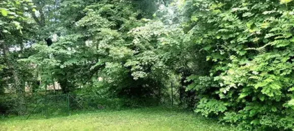 2 Schlafzimmer Wohnung in Rhein-Neckar-Kreis, Germany, Nr. 315664 5